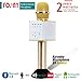 Portable Wireless Microphone Karaoke Mic / FOJNY Mini Bluetooth Handheld Speaker / Q9 Karaoke Stereo Player for Music Playing, Mini Home KTV Karaoke for Apple Iphone Android Smartphone or PC (Q9 Gold)