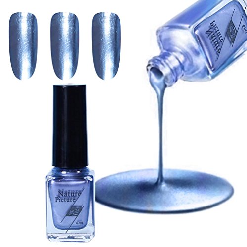 Dolloress Nature Picture 6ml Stainless Steel Color Nail Polish Silver Paste Plating Metal Color Professional Nail Art Gift