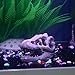 Bestgle Aquarium Fish Tank Decoration Ornament Resin Emulational Dinosaur Head Bone Skull Accessories