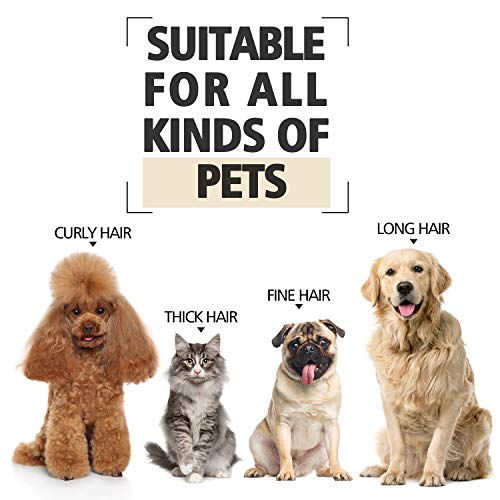 professional poodle clippers