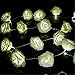 KINGSO 20 LED Battery Operated Rose Flower String Lights Wedding Garden Christmas Decor (White)