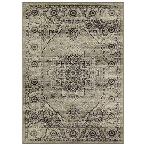 Maples Rugs Distressed Lexington Area Rugs Carpet for Living Room