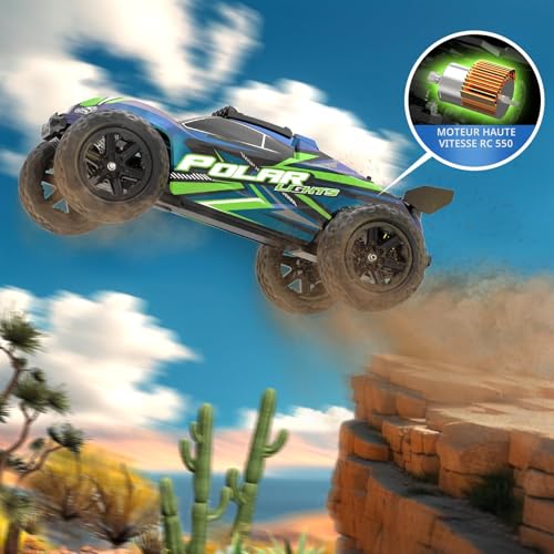Womaqu Large Scale Adult Remote Control Car 1:10 46cm, RC Truck 2WD RWD Electric 45km/h with 2 Batteries 2600mAh, Off-Road RC Car for Children and Adults