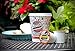 Brooklyn Beans Breakfast Blend Gourmet Coffee Pods - Compatible with Keurig 2.0 K Cup Brewers, 40 Count, Smooth and Balanced