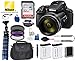 Nikon COOLPIX P900 Digital Camera with 83x Optical Zoom and Built-in Wi-Fi USA 26499 (Black) Bundle Package Deal - SanDisk Ultra 32GB Class 10 SD Card + Replacement Battery ENEL23 (2 Count) + More