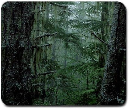 Scenic Nature Forest Photo Large Mousepad Mouse Pad Great Gift Idea