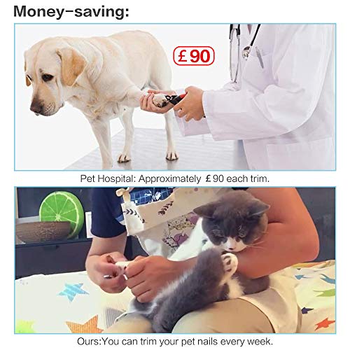LED Dog & Cat Nail Clippers, with Safety Guard to Avoid Over-Cutting Nails, Free Nail File, Sturdy Non Slip Handles and Lock Switch, for Safe, Professional at Home Grooming