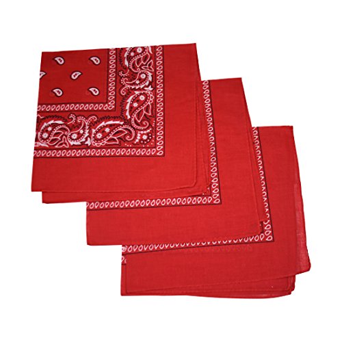 Top 10 Bandanas For Gangs of 2020 No Place Called Home