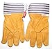 Kinco 1917 Youth (2-Pack) - Work Gloves for Kids - Perfect Easy-on/Easy-off glove for Kids - Soft Durable Pigskin Leather with Safety Cuff and Wing Thumb - Ages 7-12 (dimensions of glove listed below)