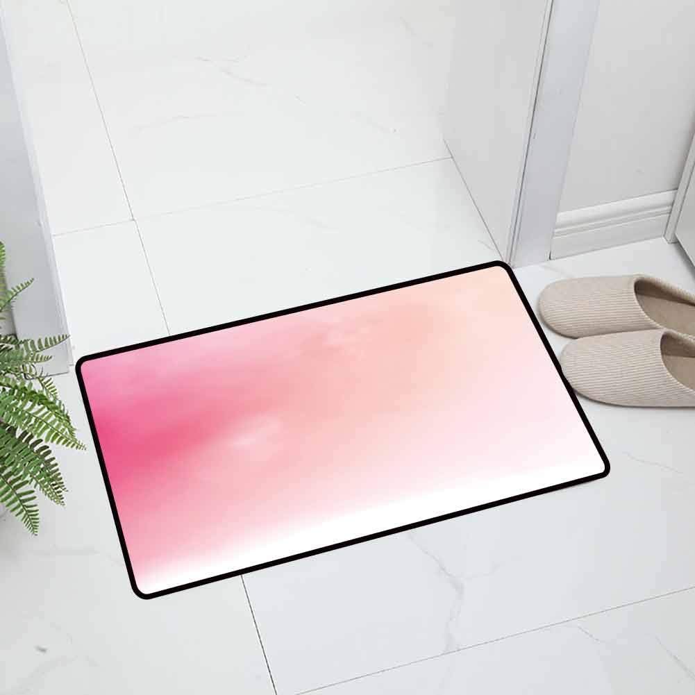 Pink Indoor Outdoor Non Slip Door Mat Kitchen Floor Mat Blurred Background Changing Colors Ombre Inspired Composition Dreamy Display Easy to Clean, 23.5 x 15.5 inch Pink White
