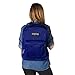 Jansport Mesh Backpack
