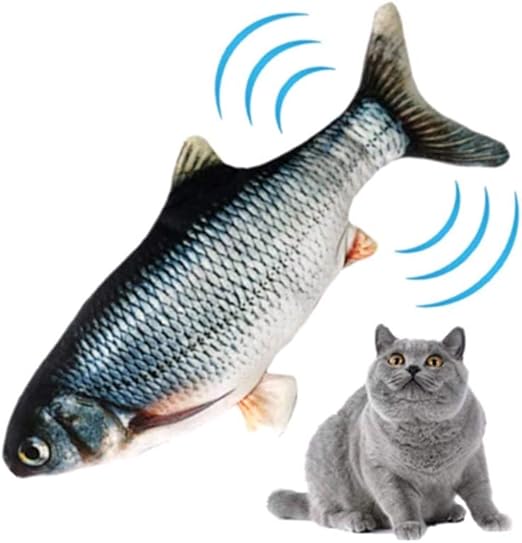 fish for cats