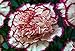 Carnation Perfume The Only True Carnation Scent Fresh Picked 2 Oz Spray- See customer feedback for this item