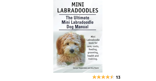 labradoodle grooming cost