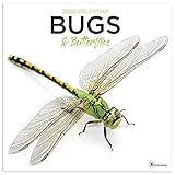 2020 Bugs and Butterflies Wall Calendar by 