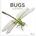 2020 Bugs and Butterflies Wall Calendar by 