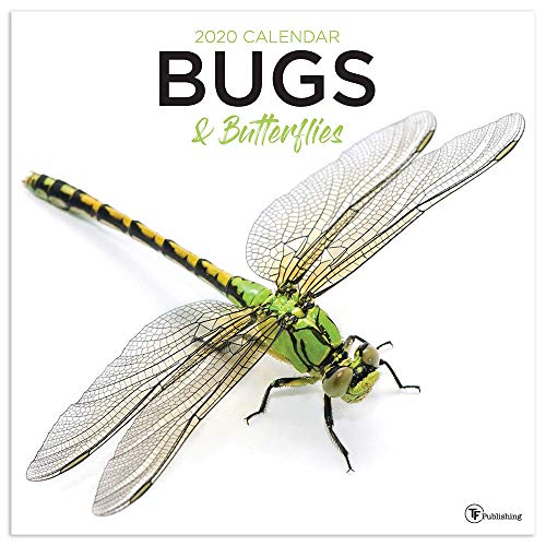 2020 Bugs and Butterflies Wall Calendar by 