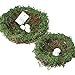 Delicaft Set of 2 (6''& 8'') (No Bird) Easter Handmade Dry Natural Moss,Rattan and Twig Bird's NestFor Home Decor (Set of 2 （Green）)