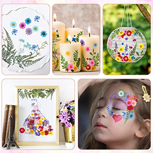 HAKACC Dried Pressed Flowers, 115PCS Flat Flowers for Resin Real Dried Flowers Leaves and Butterfly Stickers for Scrapbooking Jewellery Nail Art DIY crafts
