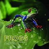 Frogs 7 x 7 Mini Wall Calendar 2019: 16 Month Calendar by Mason Landon