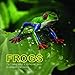 Frogs 7 x 7 Mini Wall Calendar 2019: 16 Month Calendar by Mason Landon