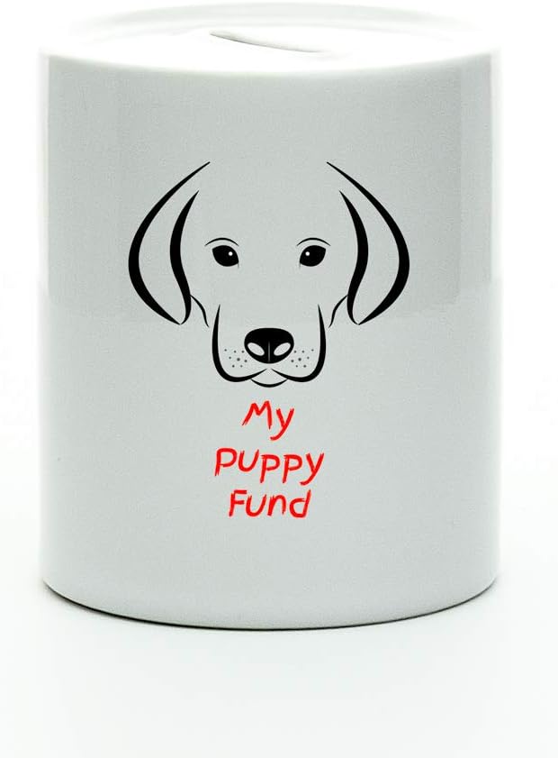 dog dock diving wetsuits