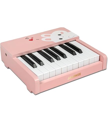 Amazon.com: ZIPPY Kids Piano Keyboard, 25 Keys Digital Piano for