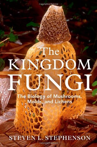The Kingdom Fungi The Biology Of Mushrooms Molds And Lichens Stephenson Steven L Amazon Com Books