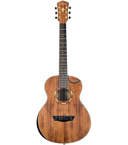 アコースティックギター　washburn Amazon.com: Washburn Apprentice G-Mini 5 with Gigbag, Black Matte