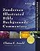 Zondervan Illustrated Bible Backgrounds Commentary - Hebrews to Revelation Vol.4