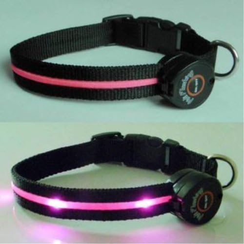 Dog Collar with Pink LED Lights, Multi-Function, Large