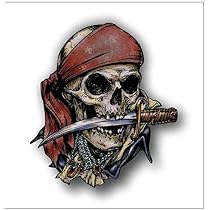 Amazon.com: Magnet Pirate Skull and Crossbones Magnetic vinyl ...