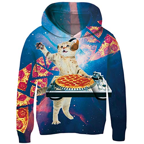 pizza cat sweatshirt