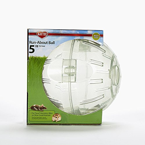 2 Kaytee+Hamster+Run+About+5+Inch+Exercise
