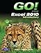 Go! With Microsoft Excel 2010: Introductory