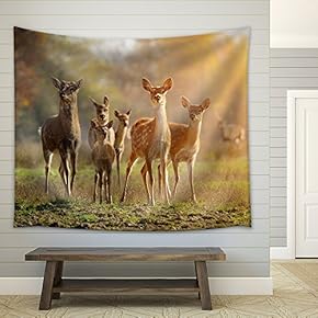 Deer in Autumn Field - Fabric Wall Tapestry Home Decor - 51x60 inches