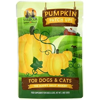 Purina Beyond Natural Wet Dog Food, Pumpkin & Oat Puree, 3