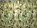 Kotap TCM-0608 Camo 7-mil Poly Tarp, 6 x 8 ft, Camouflage
