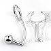 Stainless Steel Metal Anal Hook with Penis Ring for Male, Anal Plug,Penis Chastity Lock,Fetish Cock Ring (50mm)
