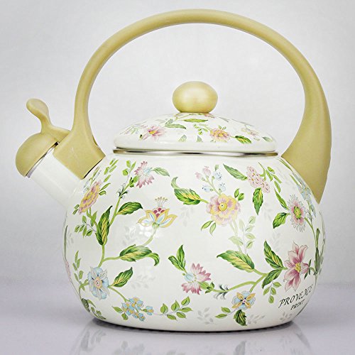 Whistling TeaKettle 2.5 Quart Tea Pot Stainless Steel Tea Kettle for Electric or Gas Stovetop - Cool Cute Modern Tea Kettle Stove Top Teapot Hot Water Whistle - Small Retro Metal Tea Kettle