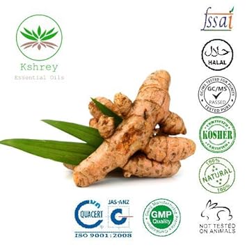  Export Quality Turmeric Essential Oil 100