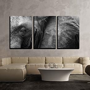 3 Piece Canvas Wall Art - Close Up Detail of an African Elephant Eye and Ear - Modern Home Art Stretched and Framed Ready to Hang - 16"x24"x3 Panels