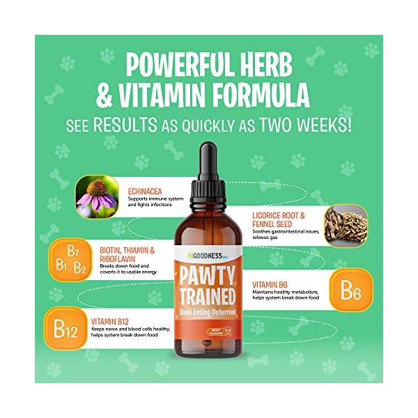 Coprophagia Treatment for Dogs Dog Stool Eating Deterrent Herbal