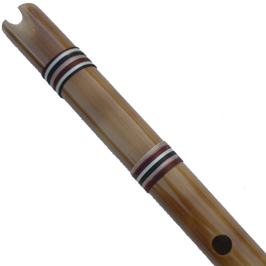 珍しい ペルー フォルクローレ楽器 ケーナ 竹製 プロ用 女性向き Bls 2 B07fxcxg49 楽天市場 Www Figoures Gr