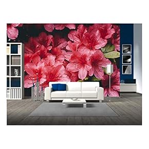 Red Flower Petal - Removable Wall Mural | Self-Adhesive Large Wallpaper - 66x96 inches