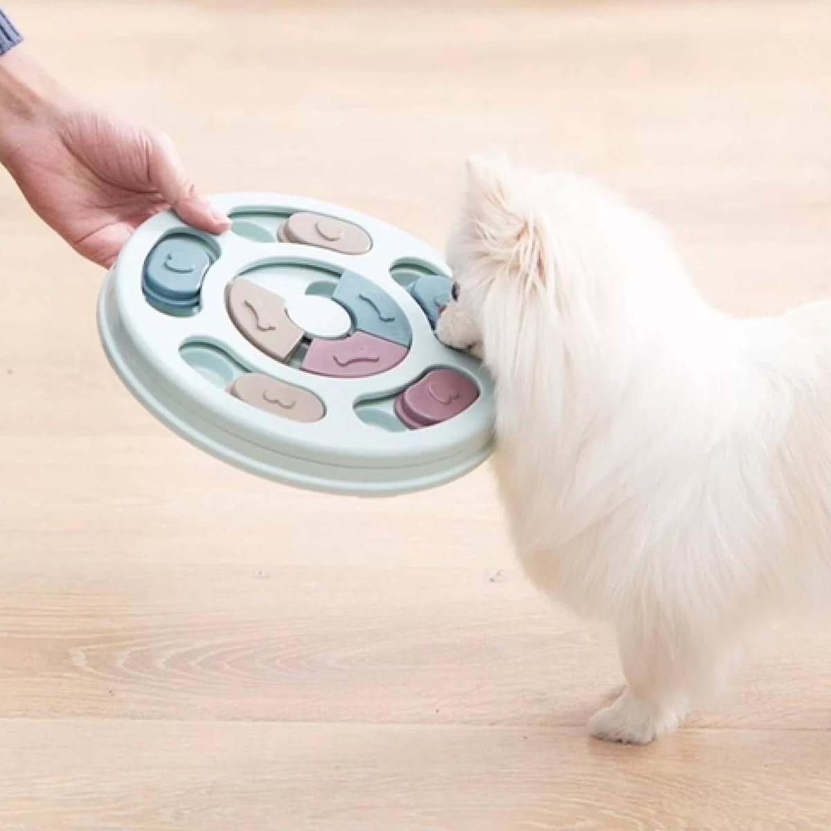 View 6