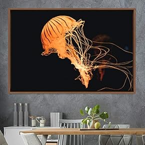 signwin Framed Canvas Wall Art Jellyfish Floating Colorful...