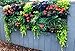 Delectable Garden 12 Pocket Hanging Vertical Garden Wall Planter For Yard Garden Home Decorationthumb 2