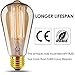 ST64 Vintage Edison Light Bulbs Dimmable 60W/110V E26/E27 Base Replacement Bulbs for Wall Sconces Lights, Pendant Light, Amber Warm & Squirrel Cage Filament Antique Light Bulb for Home Decor (8 Pack)