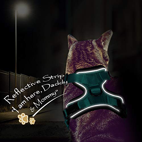 5 Eagloo+Harness+Adjustable+Reflective+Walking
